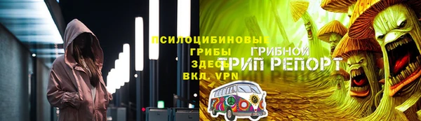 стафф Карпинск