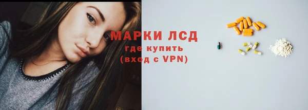 стафф Карпинск
