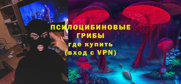 мдпв Карталы