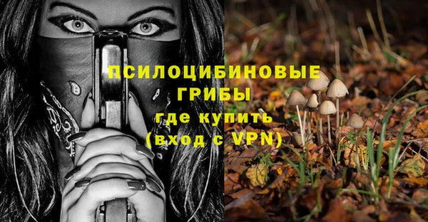стафф Карпинск